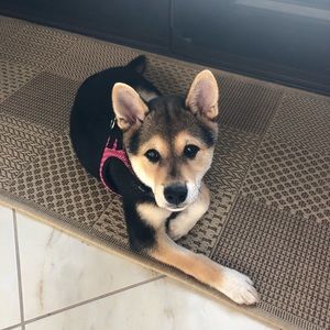 Meet your Posher, Malika